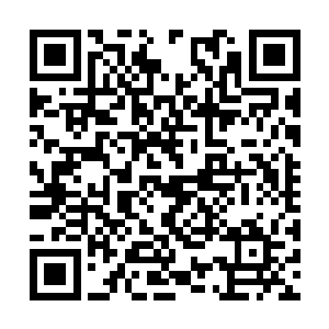 他只是满心以为观众会再一次为他的任性选择买单二维码生成