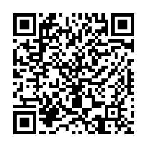 他只是觉得后面进入的神庙的之中的那片寻踪之羽非常的诡异二维码生成