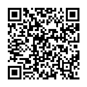 他只是随即地看了一眼在边上正欲发火的王老大二维码生成