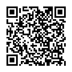 他只知道赵小柔是赵氏集团新上任的总经理助理二维码生成