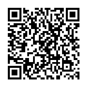 他只知道采泥子爵在那个无角战士手底下连反抗一下都没有做到二维码生成