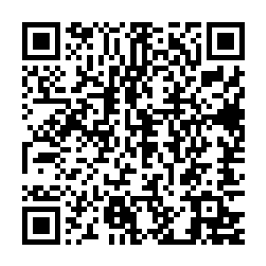 他只能利用系统安排的每十年一次爆发的野外怪对游戏中城池的攻击二维码生成
