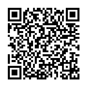 他只能眼睁睁的看着杨风的拳头打向自己的头颅二维码生成