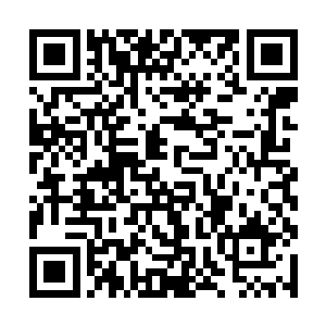 他只能硬生生地承受着焦雷劈到他身上时的剧烈痛感二维码生成