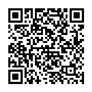 他只能通过声音这种这种人类的手段和自己的同类说话二维码生成