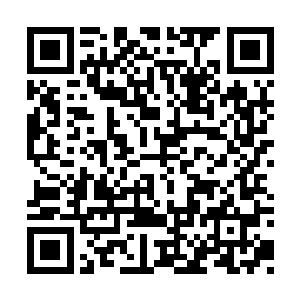 他只要偏移一下视线就能够看到荣光的训练情况二维码生成