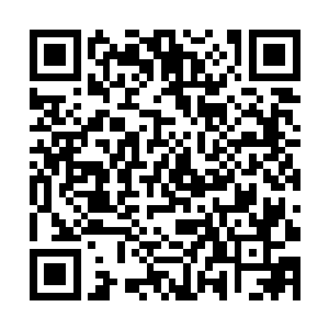 他只要催动自己心中万星筑基阵所化的光点白虎虚影二维码生成