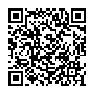 他只要将这份吞噬而得来的力量重新的归于自己二维码生成