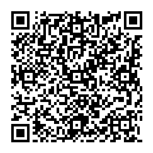 他只见微动 但不是松开 而是再次向后疯微微一拉 耳边传來呼啸 又似乎传來犼尊虚影的狂吼之声二维码生成