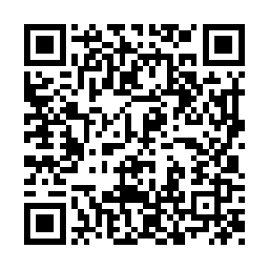 他只觉一股仿佛能碎人筋骨的力道通过右臂传来二维码生成