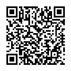 他只觉得流墨墨是不是对自己这个宠物不太满意··二维码生成