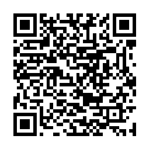 他只需要沿着希恩走过的每一个地方冲过去就行了二维码生成