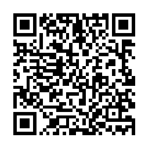 他可不想上次在腐烂高原发生过的事情再发生一遍了二维码生成