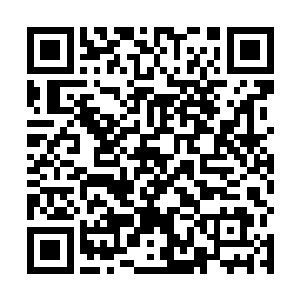 他可不相信晴雨楼敢明目张胆的刺杀岚剑宗的嫡传弟子二维码生成