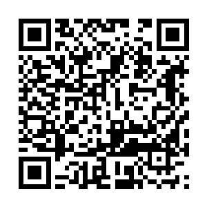 他可不相信苏凡会在这个时候再一次进入空灵状态二维码生成