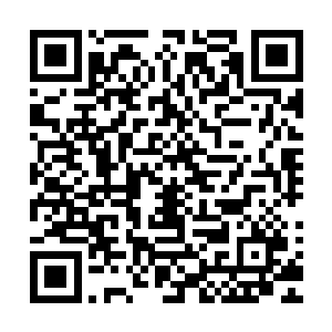 他可不知道现在躺在手术台上的赵长枪就是毒龙会的幕后老大二维码生成