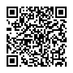 他可以在雨果那双沉静的眸子里看到淡淡的哀伤二维码生成