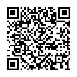 他可以感觉到这些灵气散发着和人类一样的情绪二维码生成