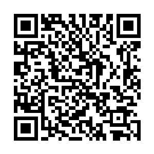 他可以明显感知到自己的神魂就像是充血的器官般膨胀起来二维码生成