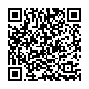 他可是为了招待好这外国友人特意买了两只乡下的老母鸡呢二维码生成