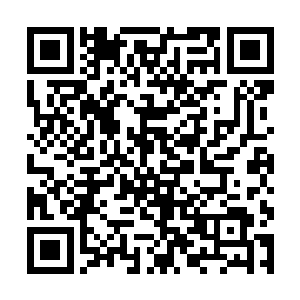 他可是在一个精神病院的封闭病房里待了好几个月了二维码生成
