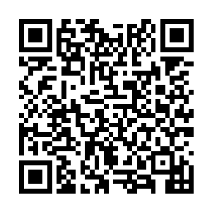 他可是在三年前就能正面对抗最弱神海强者的变态二维码生成