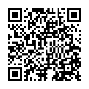 他可是学着苏凡的样子和表情复述着苏凡说过的话二维码生成