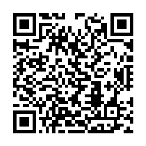 他可是很想看看林辰是如何在比赛擂台中大显神威二维码生成