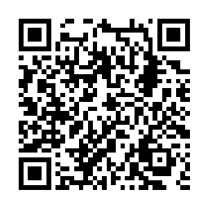 他可是拥有录像回放功能什么过去的事都能看到的雷欢喜二维码生成