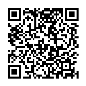 他可是有资格跟主神一起进入亚空间学习神力的最早的迈雅二维码生成