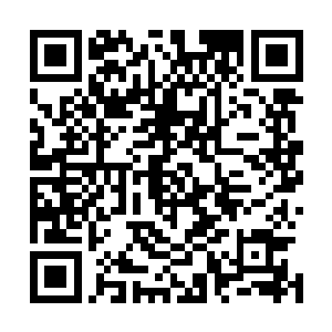 他可是清楚的记得裴文明和张雪海两人是进去碧海蓝天了啊二维码生成