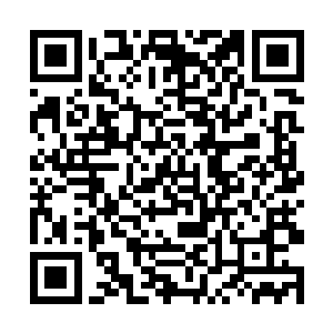他可是花了好大的代价才买到了这些极品的地板砖呢二维码生成