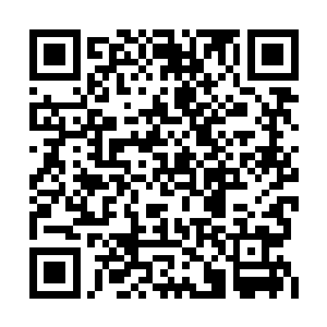 他可是远远看过那幽火老人脱胎境修为的可怕的二维码生成