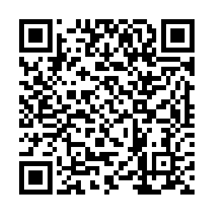 他可是非常清楚白虎变身需要多强的力量才能触发的二维码生成