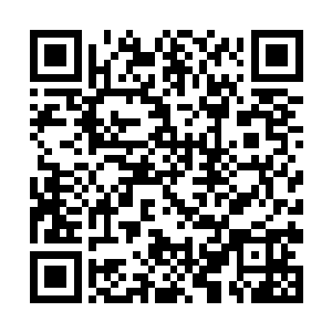 他可没想到姬沨珑所掌控的天书世界里几乎空无一物二维码生成