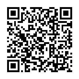 他可没想到李东生竟然真能拉下脸在众人面前学狗叫二维码生成