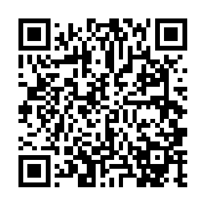 他可真的希望这瓶药剂能够稍微压制下对方疯狂的心性二维码生成