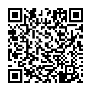 他可知道大小姐不仅仅是他们村子里的恩人那么简单二维码生成