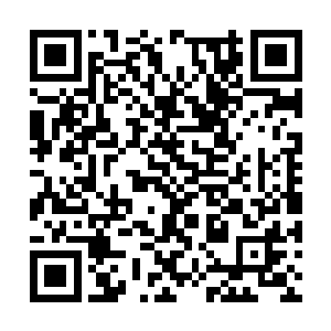 他同样也需要圣级源髓液来继续淬炼自己的小世界二维码生成