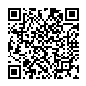 他后来也知道那个丫头正是他亲娘专门派人来指点他的二维码生成