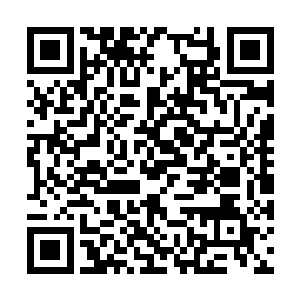 他吞噬的一百颗晶核的能量全部涌入了暗面之噬中二维码生成