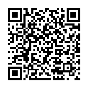 他听说燕京有名的智公子秦纵横和秦洛的关系很差二维码生成