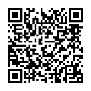 他听说王九九是和王老爷子一起去督察部营救自己二维码生成