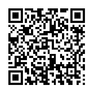 他听说童老爷子都不能保证他的伤势能完全恢复的二维码生成