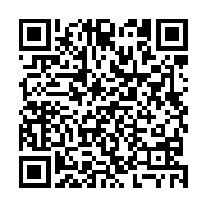 他和一个大型冒险者团队签订了一个简单的长期雇佣合同二维码生成