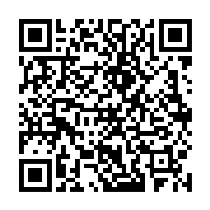 他和他的公司所面临的必然是固有势力蜂拥绞杀的局面二维码生成
