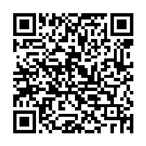 他和太多的人形魔物以及各式各样的魔法兽打过交道二维码生成