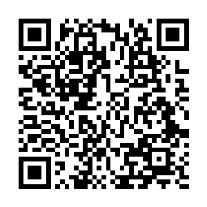 他和小白狐前前后后寻到了不下于一百株四百多年的元药二维码生成