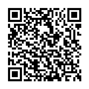 他和张铁虽然还没有爆发出大地骑士的战气法相二维码生成