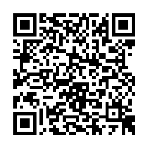 他和徐堂然接触的时间比和苗毅接触的时间还多二维码生成